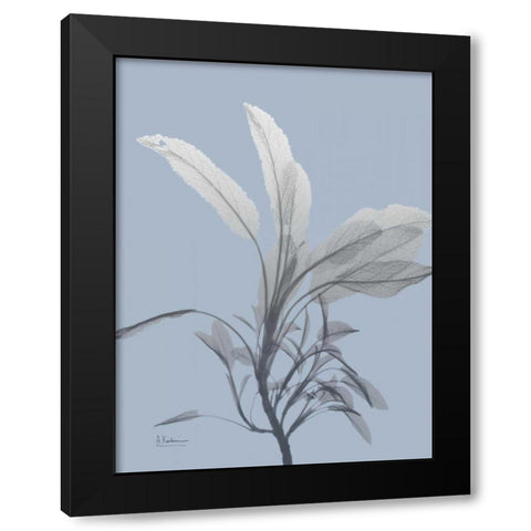 Skyway Sage Black Modern Wood Framed Art Print by Koetsier, Albert