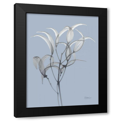 Skyway Oleander Bush Black Modern Wood Framed Art Print with Double Matting by Koetsier, Albert
