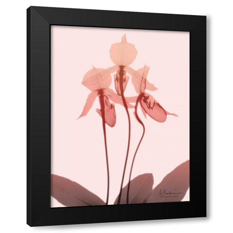 Furiosa Orchid Black Modern Wood Framed Art Print with Double Matting by Koetsier, Albert