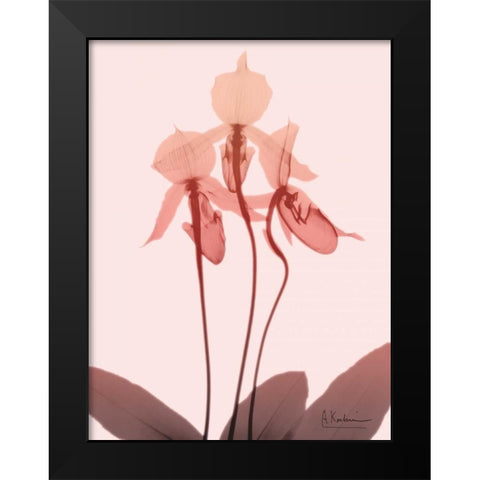 Furiosa Orchid Black Modern Wood Framed Art Print by Koetsier, Albert