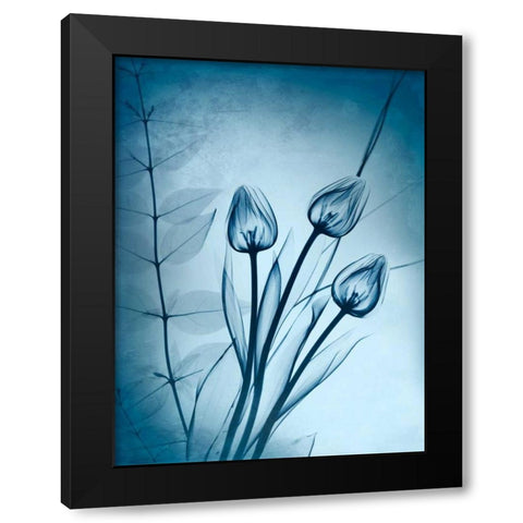 Cerulean Dawn Black Modern Wood Framed Art Print with Double Matting by Koetsier, Albert