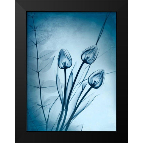 Cerulean Dawn Black Modern Wood Framed Art Print by Koetsier, Albert