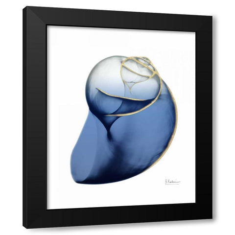 Shimmering Indigo Snail 2 Black Modern Wood Framed Art Print with Double Matting by Koetsier, Albert