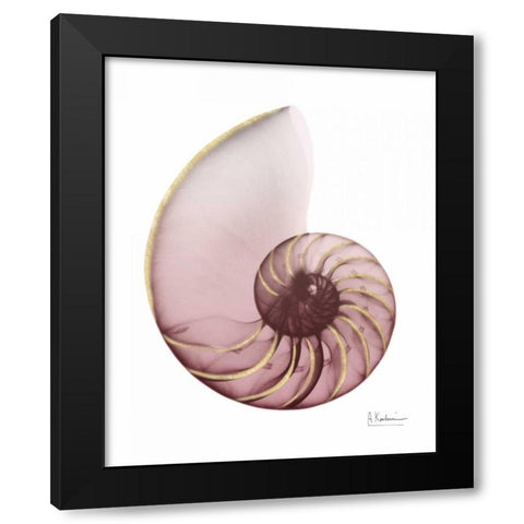 Shimmering Blush Snail 1 Black Modern Wood Framed Art Print with Double Matting by Koetsier, Albert