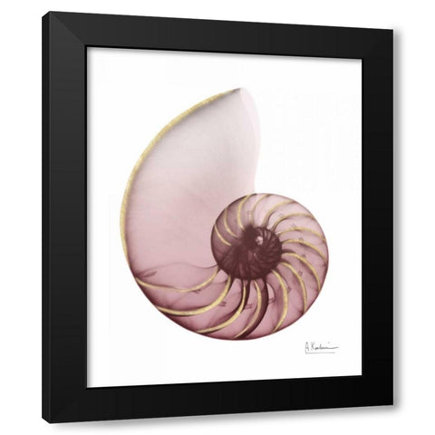 Shimmering Blush Snail 1 Black Modern Wood Framed Art Print by Koetsier, Albert