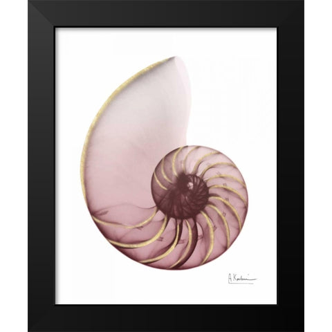 Shimmering Blush Snail 1 Black Modern Wood Framed Art Print by Koetsier, Albert