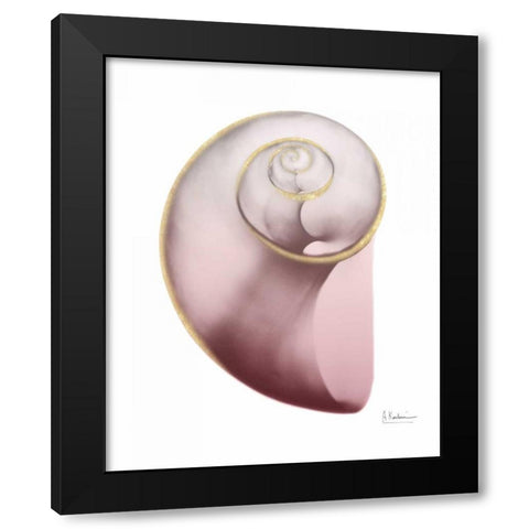 Shimmering Blush Snail 2 Black Modern Wood Framed Art Print with Double Matting by Koetsier, Albert