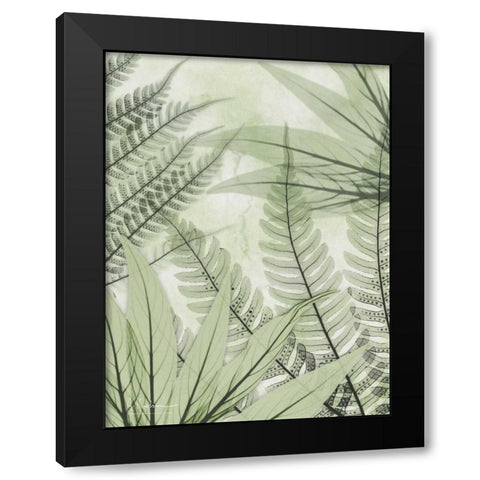 Prehistoric Awakening Black Modern Wood Framed Art Print with Double Matting by Koetsier, Albert