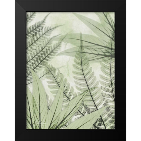 Prehistoric Awakening Black Modern Wood Framed Art Print by Koetsier, Albert