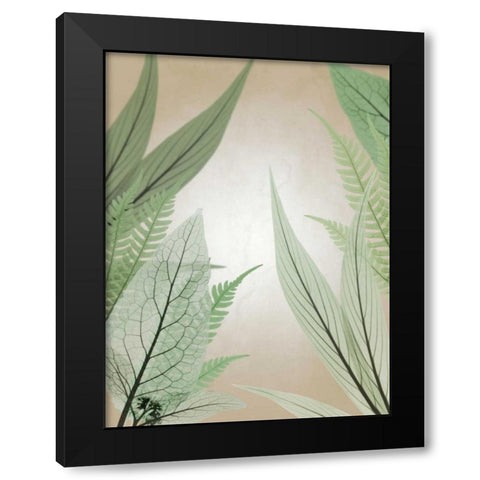 Jungle Cruise Black Modern Wood Framed Art Print with Double Matting by Koetsier, Albert