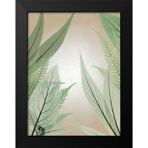 Jungle Cruise Black Modern Wood Framed Art Print by Koetsier, Albert