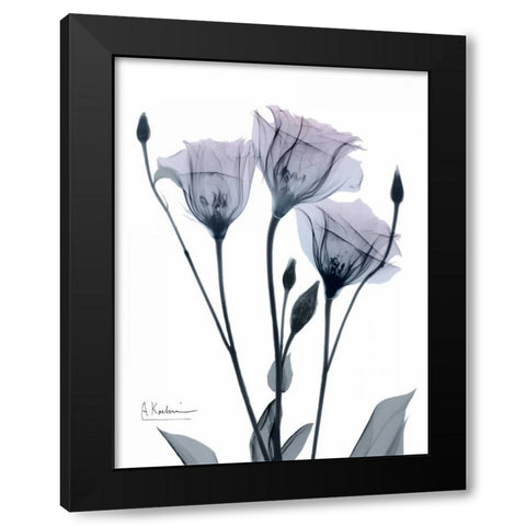 Midnight Gentian 1 Black Modern Wood Framed Art Print with Double Matting by Koetsier, Albert