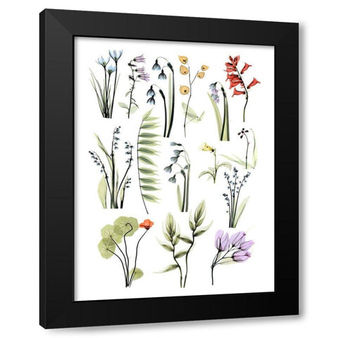 Mini Zen Garden 1 Black Modern Wood Framed Art Print with Double Matting by Koetsier, Albert