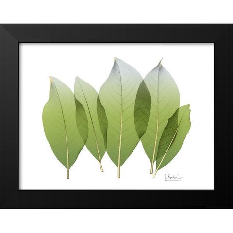 Golden Magnolia Leaf Black Modern Wood Framed Art Print by Koetsier, Albert