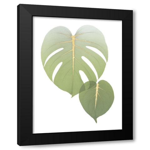 Golden Philodendron Black Modern Wood Framed Art Print with Double Matting by Koetsier, Albert