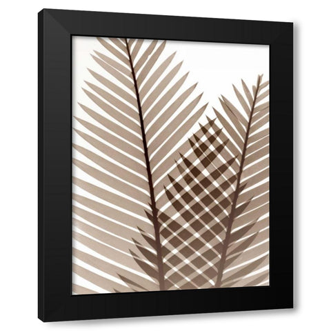 Earthly Fern 1 Black Modern Wood Framed Art Print with Double Matting by Koetsier, Albert