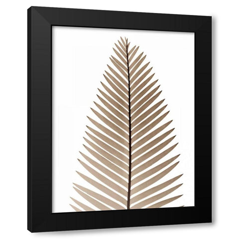 Earthly Fern 2 Black Modern Wood Framed Art Print by Koetsier, Albert