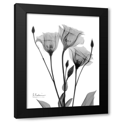 Night Gentian 1 Black Modern Wood Framed Art Print with Double Matting by Koetsier, Albert