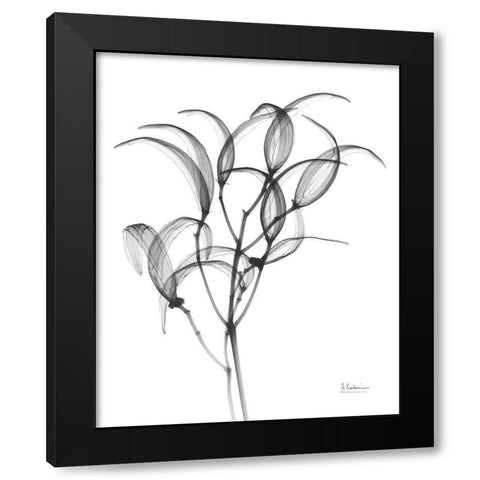 Nightly Oleander Bush Black Modern Wood Framed Art Print with Double Matting by Koetsier, Albert