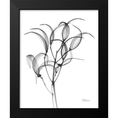 Nightly Oleander Bush Black Modern Wood Framed Art Print by Koetsier, Albert