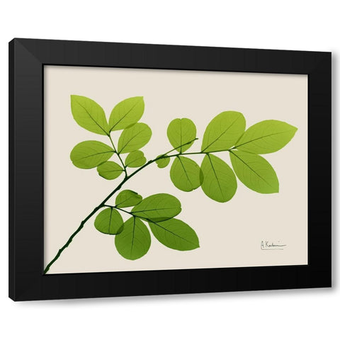 Natural Greenery 1 Black Modern Wood Framed Art Print with Double Matting by Koetsier, Albert