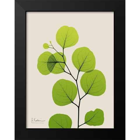 Natural Greenery 3 Black Modern Wood Framed Art Print by Koetsier, Albert