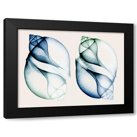 Split Breeze 1 Black Modern Wood Framed Art Print with Double Matting by Koetsier, Albert