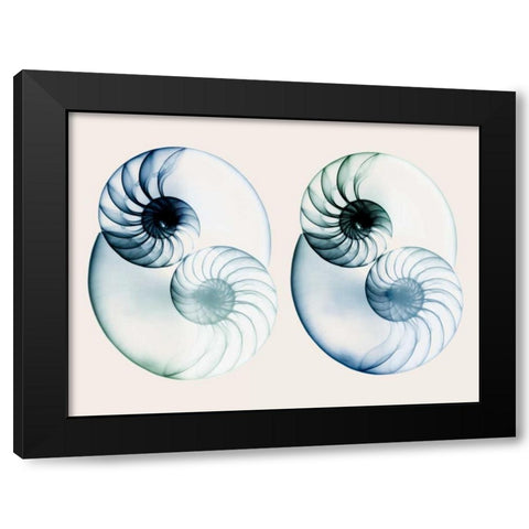 Split Breeze 2 Black Modern Wood Framed Art Print with Double Matting by Koetsier, Albert