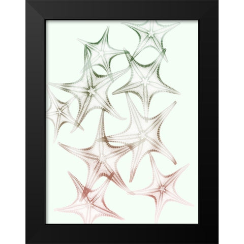 Sweet Starfish 2 Black Modern Wood Framed Art Print by Koetsier, Albert