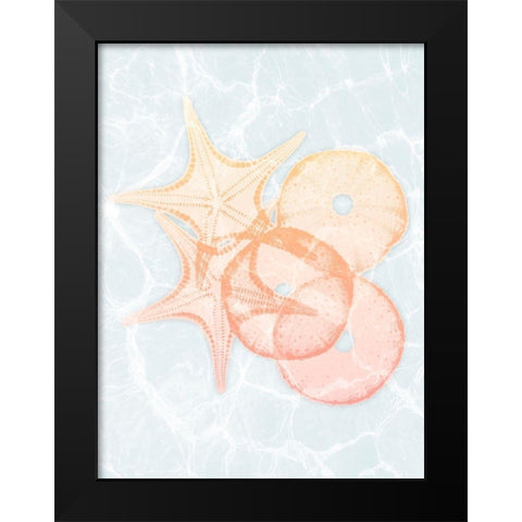 Starfish Shine Black Modern Wood Framed Art Print by Koetsier, Albert