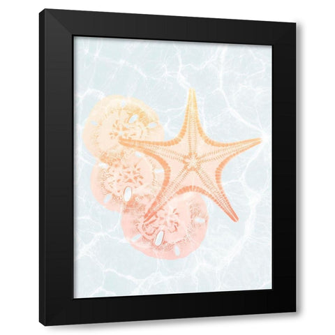 Starfish Shine 2 Black Modern Wood Framed Art Print with Double Matting by Koetsier, Albert