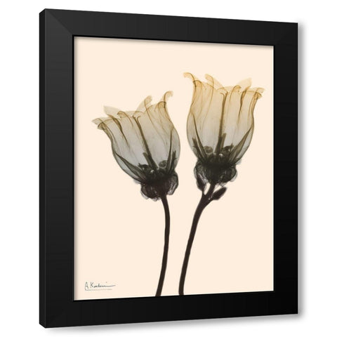 Neutral Canterbury Bells 1 Black Modern Wood Framed Art Print with Double Matting by Koetsier, Albert