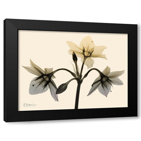 Neutral Trio 1 Black Modern Wood Framed Art Print by Koetsier, Albert