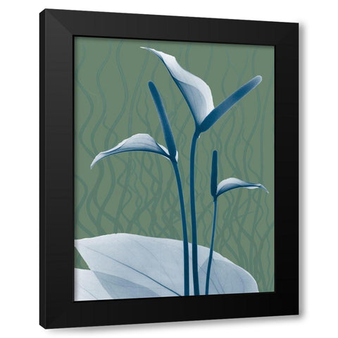 Blue Sage Dawn 2 Black Modern Wood Framed Art Print by Koetsier, Albert