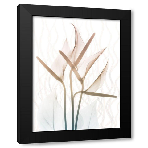 Toned Dawn 2 Black Modern Wood Framed Art Print with Double Matting by Koetsier, Albert
