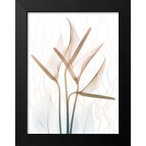 Toned Dawn 2 Black Modern Wood Framed Art Print by Koetsier, Albert