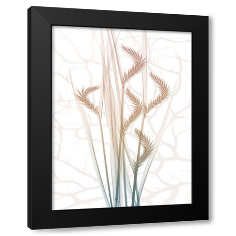 Toned Dawn 3 Black Modern Wood Framed Art Print with Double Matting by Koetsier, Albert