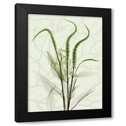 Toned Greens 2 Black Modern Wood Framed Art Print with Double Matting by Koetsier, Albert