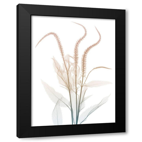 Neutral Dawn 2 Black Modern Wood Framed Art Print by Koetsier, Albert