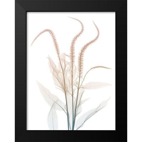 Neutral Dawn 2 Black Modern Wood Framed Art Print by Koetsier, Albert