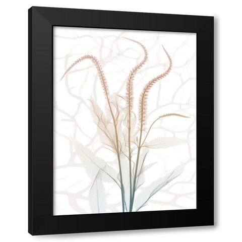 Toned Dawn 4 Black Modern Wood Framed Art Print with Double Matting by Koetsier, Albert