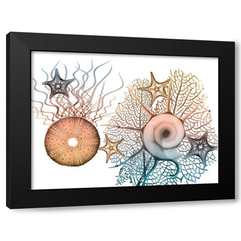 Sea Collective 1 Black Modern Wood Framed Art Print by Koetsier, Albert