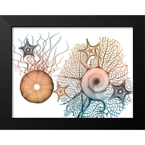 Sea Collective 1 Black Modern Wood Framed Art Print by Koetsier, Albert