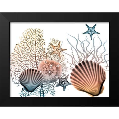 Sea Collective 2 Black Modern Wood Framed Art Print by Koetsier, Albert