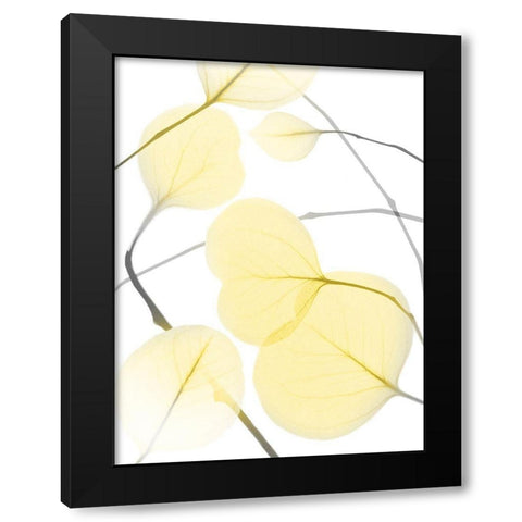 Illuminated Eternity 2 Black Modern Wood Framed Art Print with Double Matting by Koetsier, Albert