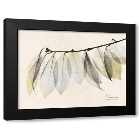 Sunkissed Camelia Leaf Black Modern Wood Framed Art Print by Koetsier, Albert