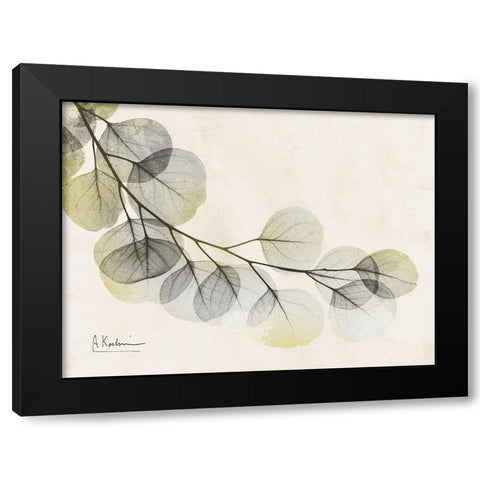 Sunkissed Eucalyptus Black Modern Wood Framed Art Print with Double Matting by Koetsier, Albert