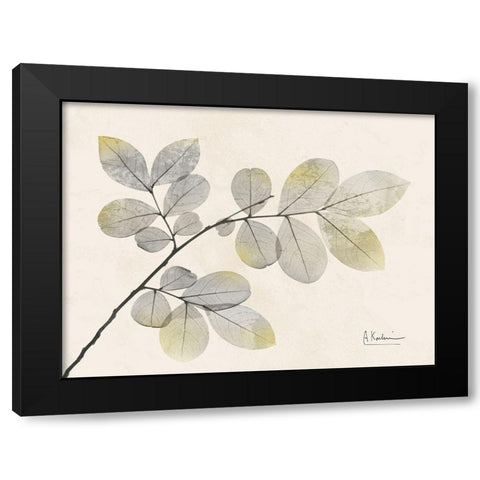 Sunkissed Desire 1 Black Modern Wood Framed Art Print with Double Matting by Koetsier, Albert