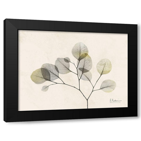 Sunkissed Eucalyptus 2 Black Modern Wood Framed Art Print by Koetsier, Albert