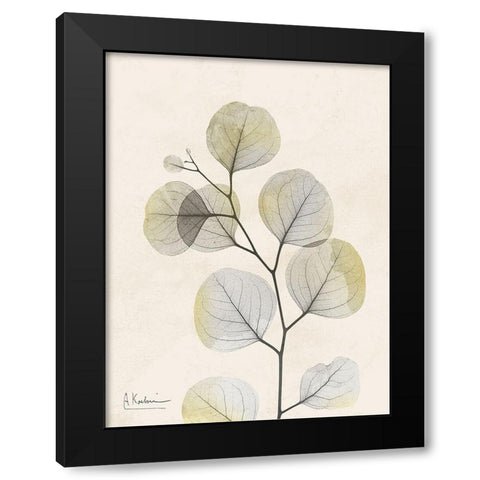 Sunkissed Eucalyptus 3 Black Modern Wood Framed Art Print with Double Matting by Koetsier, Albert